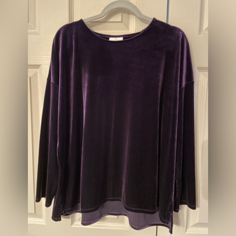 J.Jill, Velvet, Purple, Top, Stretchy, Boatneck, Soft, Luxurious, EUC, Size XLP